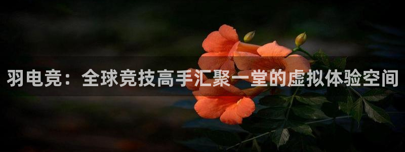 2021泛亚电竞网址：羽电竞：全球竞技高手汇聚一堂的虚拟体验空间