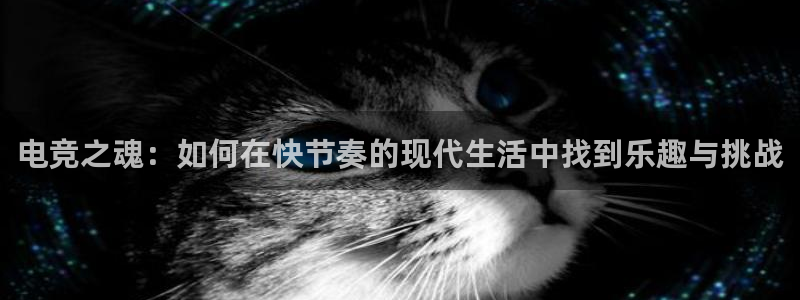 泛亚电竞是什么意思：电竞之魂：如何在快节奏的现代生活中找到乐趣与挑战