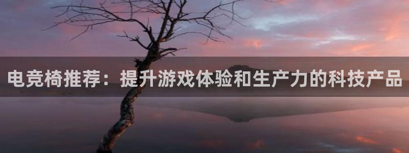 泛亚电竞精选：电竞椅推荐：提升游戏体验和生产力的科技产品