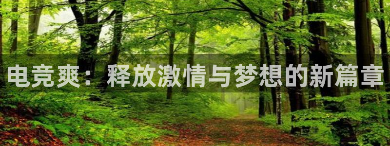 泛亚电竞比赛：电竞爽：释放激情与梦想的新篇章