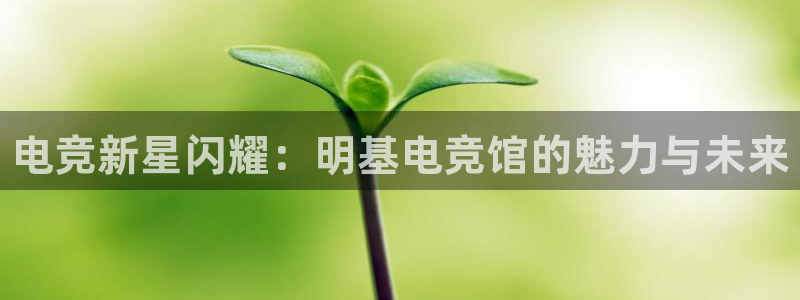 泛亚电竞最新版：电竞新星闪耀：明基电竞馆的魅力与未来