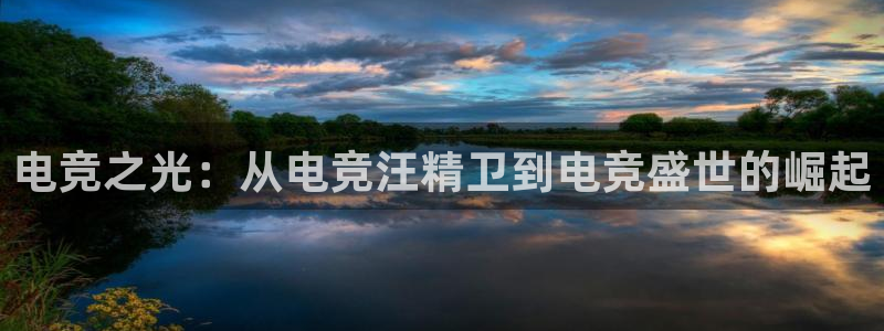 泛亚电竞lol官网：电竞之光：从电竞汪精卫到电竞盛世的崛起