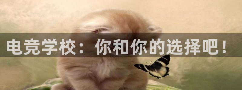 泛亚电竞对刷：电竞学校：你和你的选择吧！