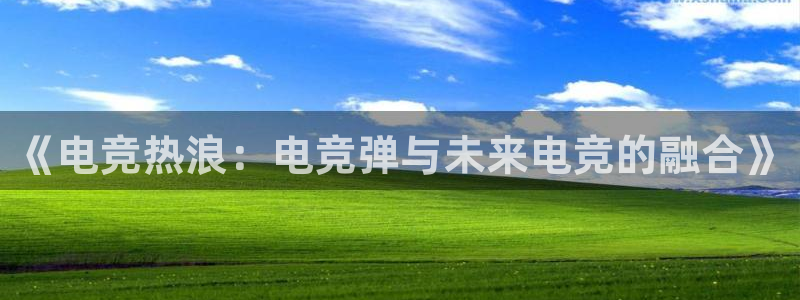 泛亚电竞是什么意思：《电竞热浪：电竞弹与未来电竞的融合》
