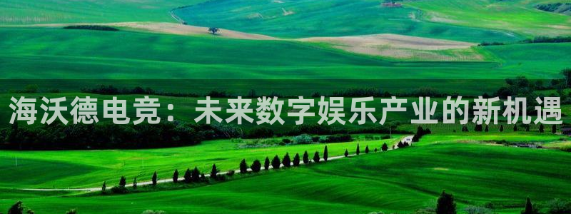 泛亚电竞英雄联盟竞猜：海沃德电竞：未来数字娱乐产业的新机遇