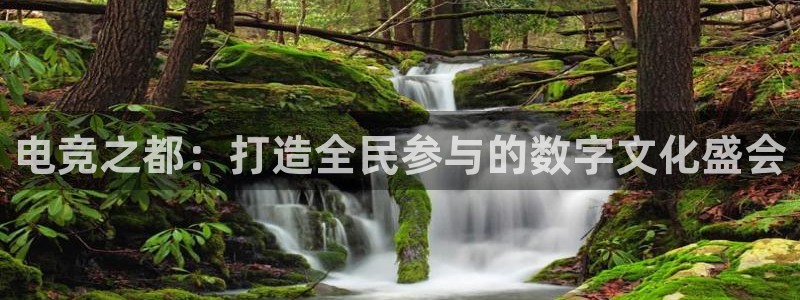 im电竞和泛亚电竞哪个好：电竞之都：打造全民参与的数字文化盛会