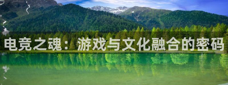 泛亚电竞综合：电竞之魂：游戏与文化融合的密码
