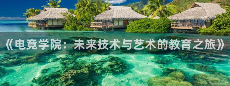 泛亚电竞内部：《电竞学院：未来技术与艺术的教育之旅》