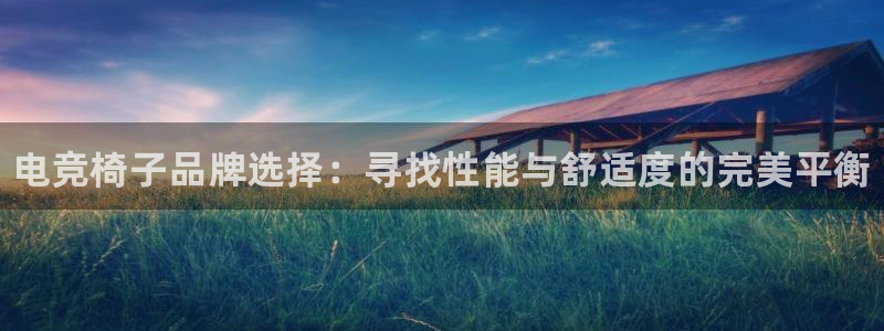 泛亚电竞手机版下载：电竞椅子品牌选择：寻找性能与舒适度的完美平衡