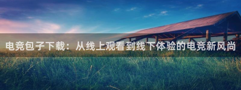 泛亚电竞lol官网：电竞包子下载：从线上观看到线下体验的电竞新风尚