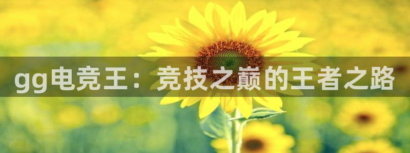 泛亚电竞官网下载网站：gg电竞王：竞技之巅的王者之路