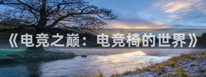 泛亚电竞和im电竞的区别：《电竞之巅：电竞椅的世界》