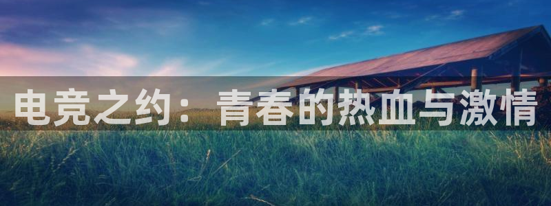 泛亚电竞英雄联盟竞猜：电竞之约：青春的热血与激情