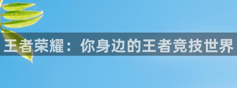 泛亚电竞最新版下载：王者荣耀：你身边的王者竞技世界