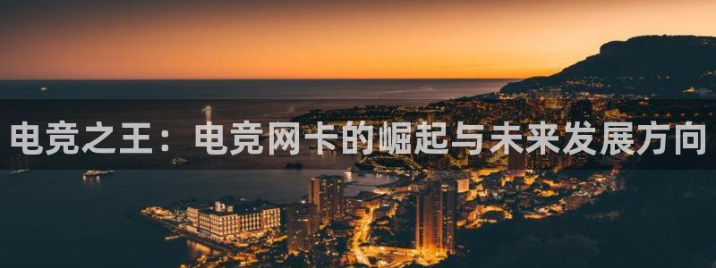 泛亚电竞在哪下载：电竞之王：电竞网卡的崛起与未来发展方向
