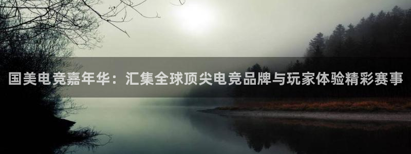 泛亚电竞手机端：国美电竞嘉年华：汇集全球顶尖电竞品牌与玩家体验精彩赛事