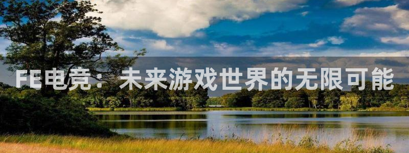 泛亚电竞是什么意思：FE电竞：未来游戏世界的无限可能