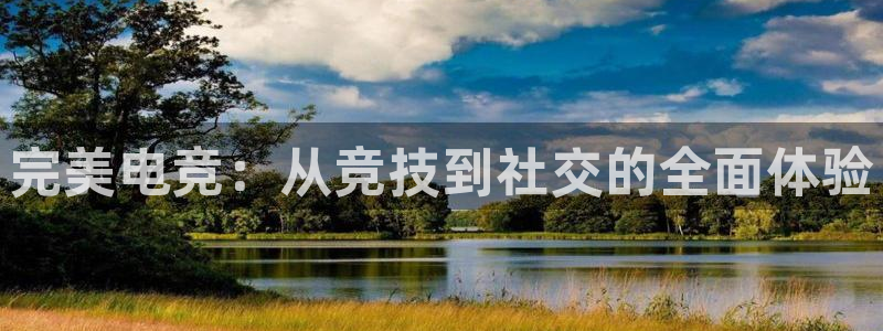 泛亚电竞官方版：完美电竞：从竞技到社交的全面体验