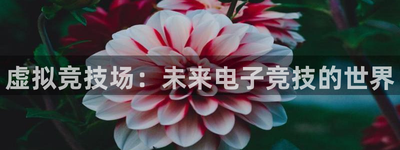 泛亚电竞精选：虚拟竞技场：未来电子竞技的世界