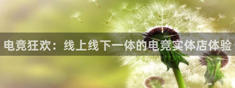 泛亚电竞平台app：电竞狂欢：线上线下一体的电竞实体店体验