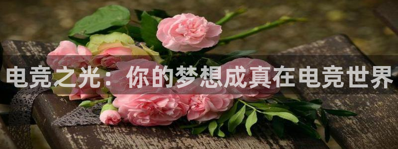 泛亚电竞官方版：电竞之光：你的梦想成真在电竞世界