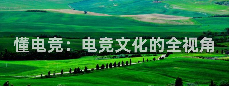 泛亚电竞英雄联盟竞猜：懂电竞：电竞文化的全视角