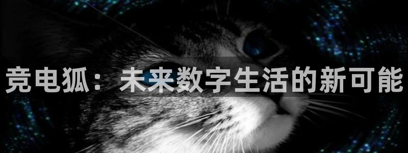 泛亚电竞app官网入口：竞电狐：未来数字生活的新可能