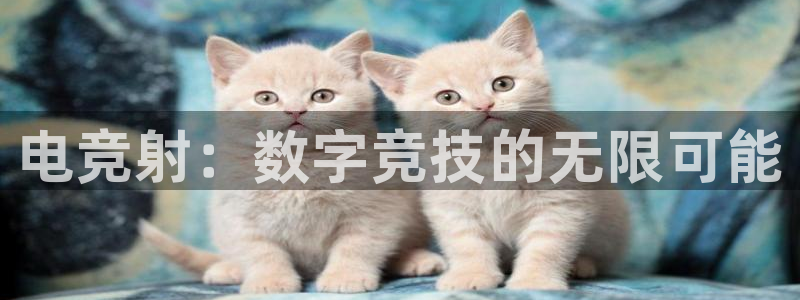 泛亚电竞平台手机版：电竞射：数字竞技的无限可能