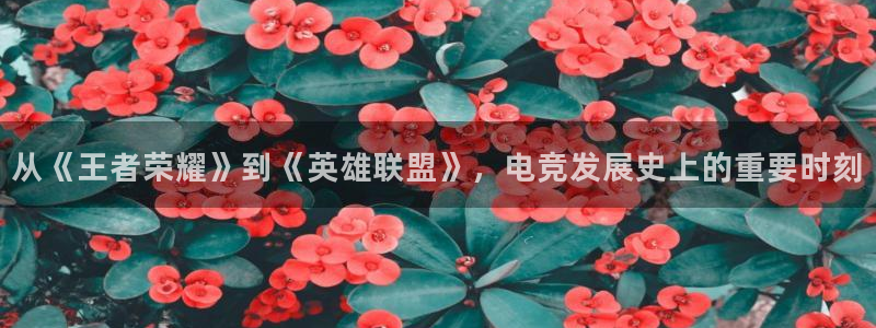 泛亚电竞手机版下载：从《王者荣耀》到《英雄联盟》，电竞发展史上的重要时刻