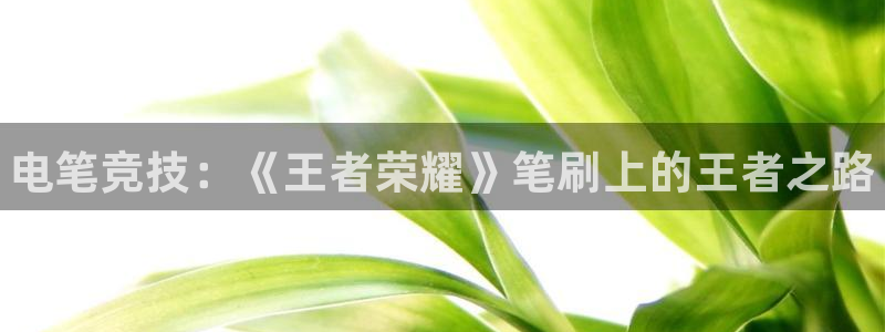 泛亚电竞对刷：电笔竞技：《王者荣耀》笔刷上的王者之路