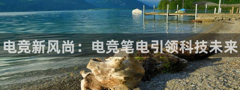 泛亚电竞平台app：电竞新风尚：电竞笔电引领科技未来